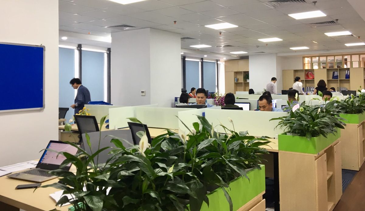 Hoạt động nội bộ