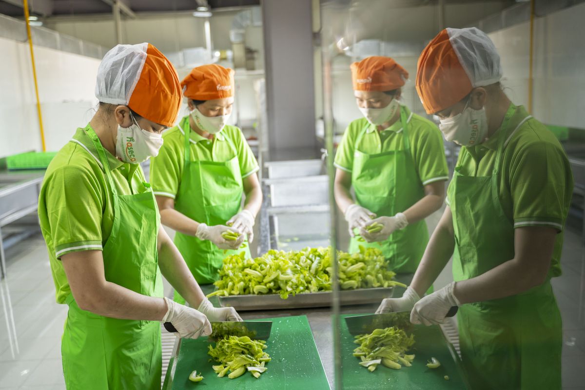 Hợp tác phát triển