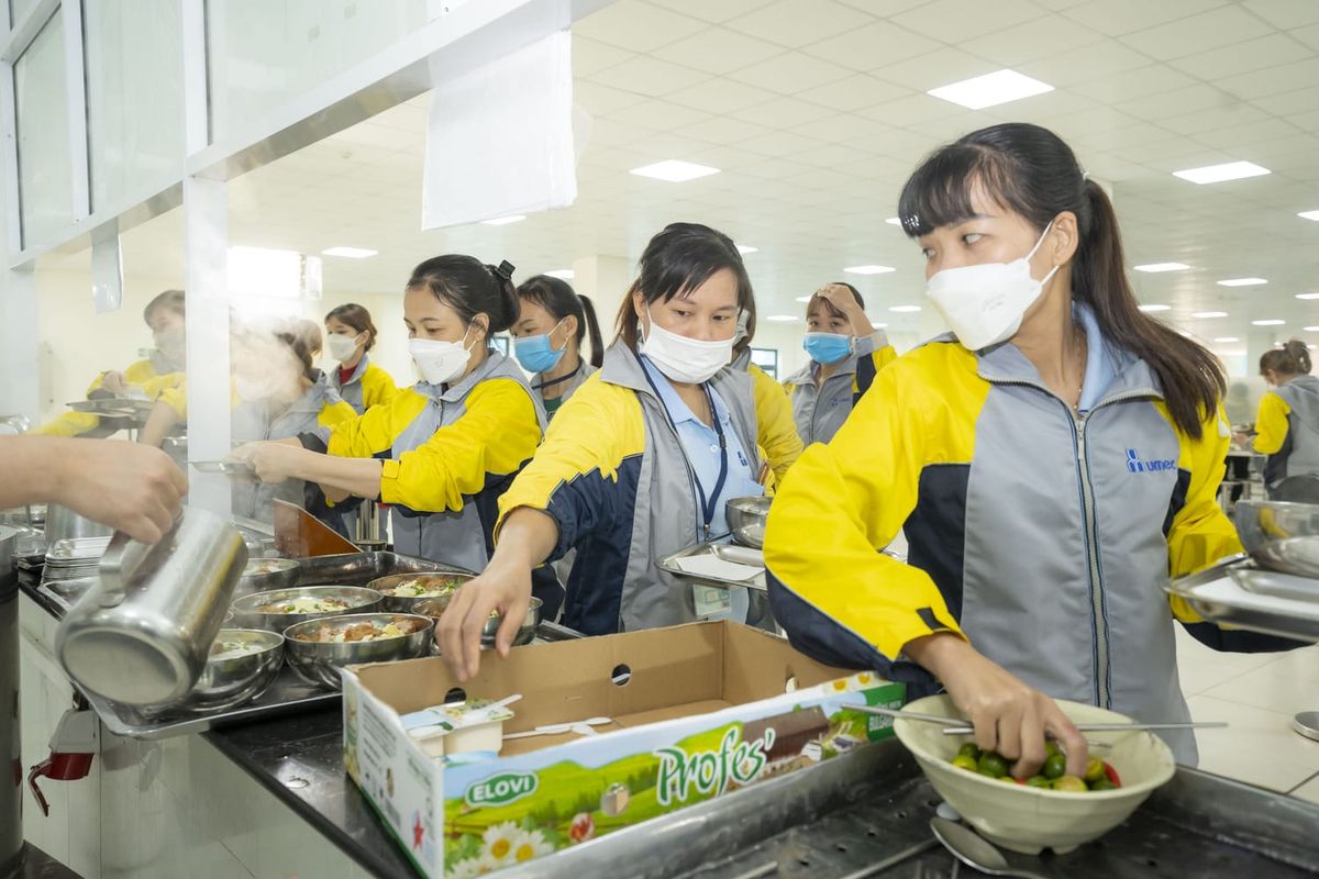 Tin tức 24h Haseca