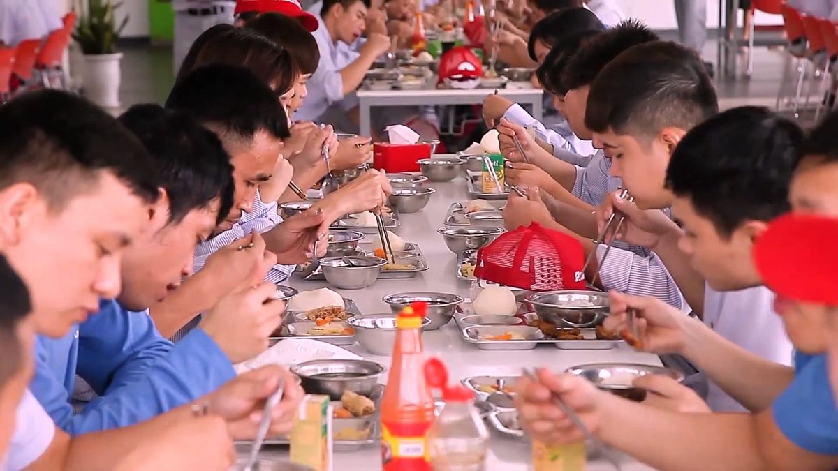 Tin tức 24h Haseca