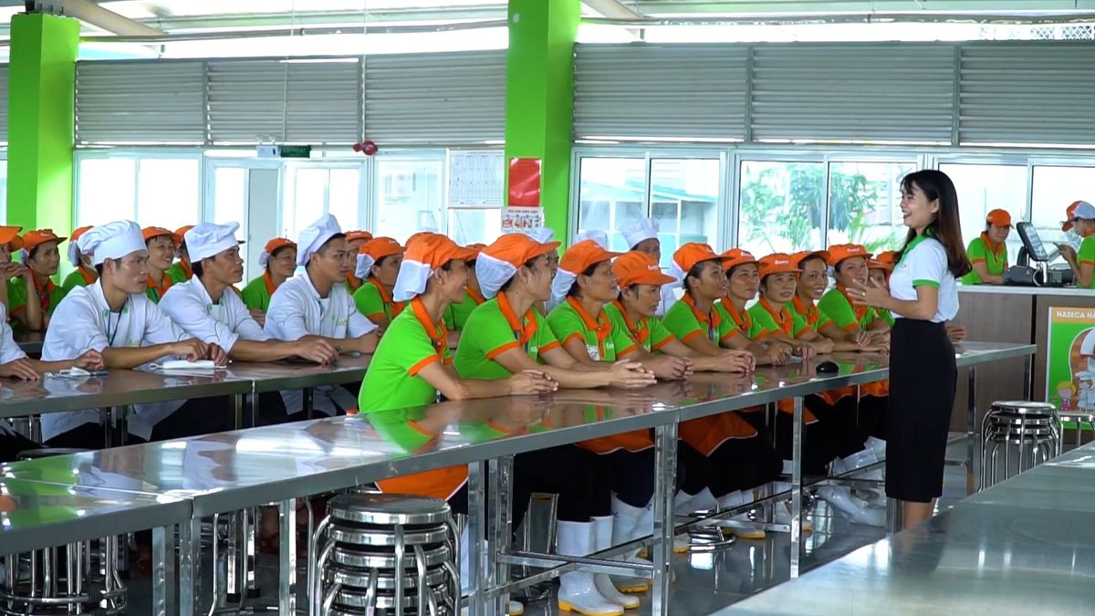 Tin tức 24h Haseca