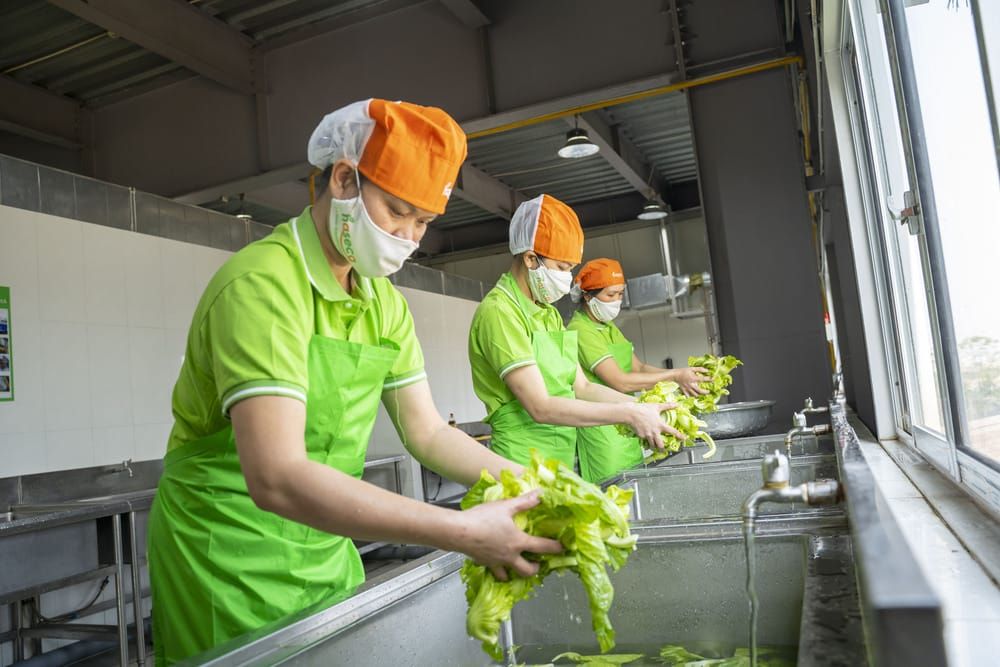 Hợp tác phát triển