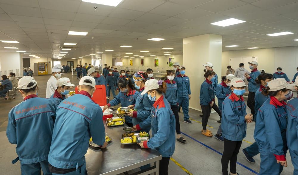 Tin tức 24h Haseca