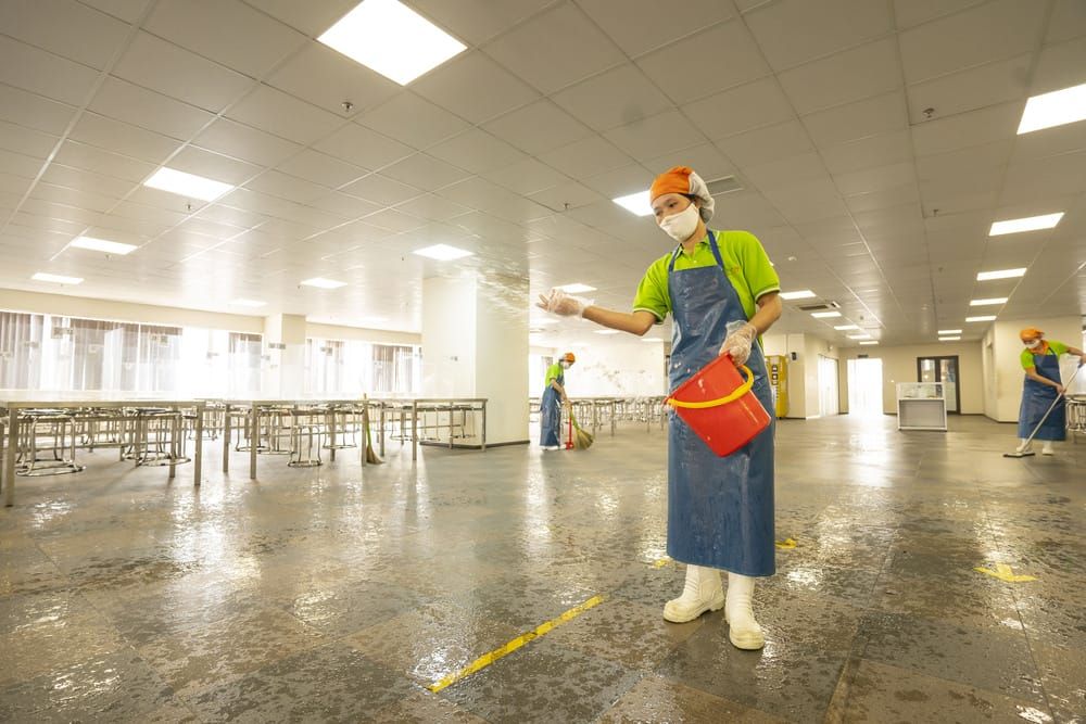 Tin tức 24h Haseca