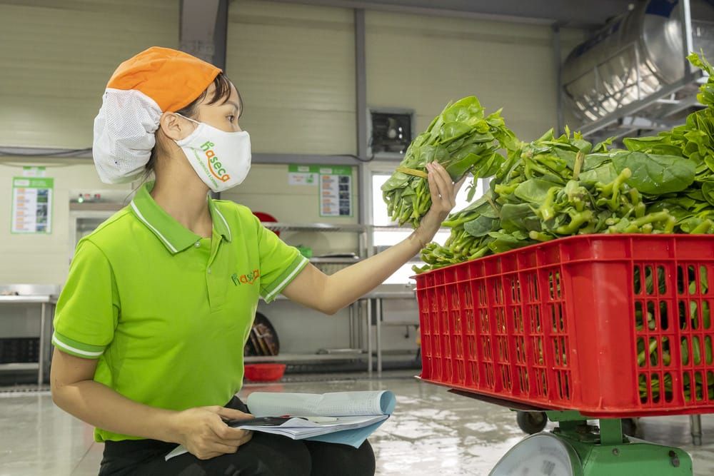 Tin tức 24h Haseca