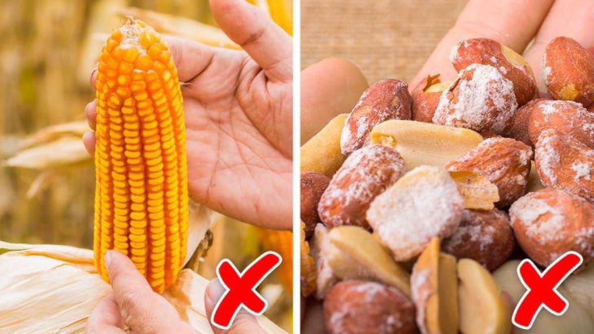 Tin tức 24h Haseca