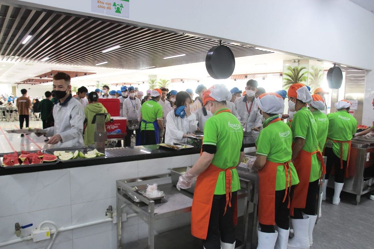 Tin tức 24h Haseca