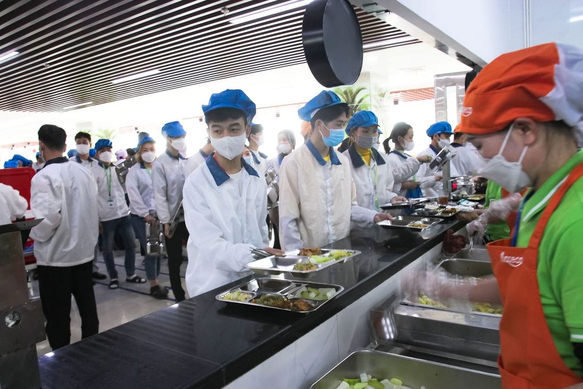 Tin tức 24h Haseca