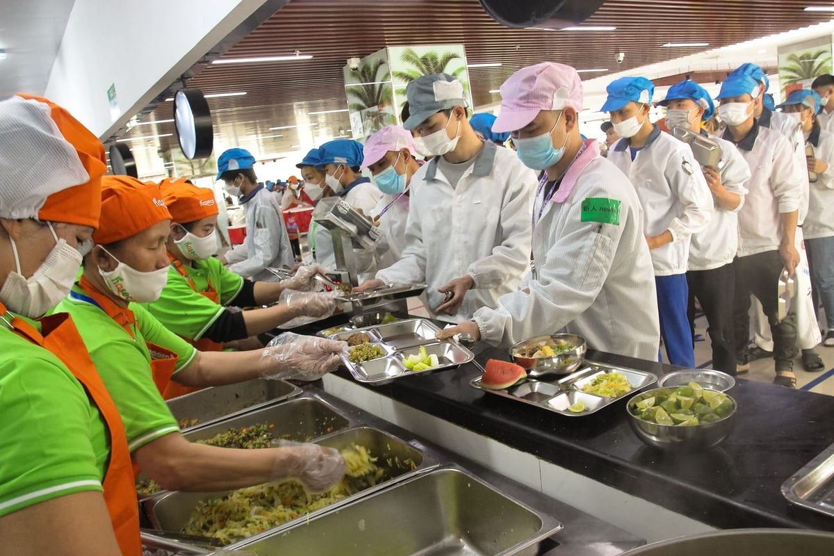 Tin tức 24h Haseca