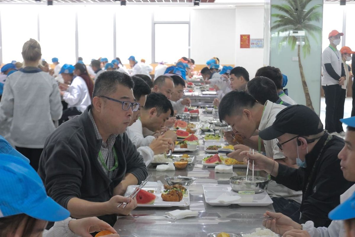 Tin tức 24h Haseca