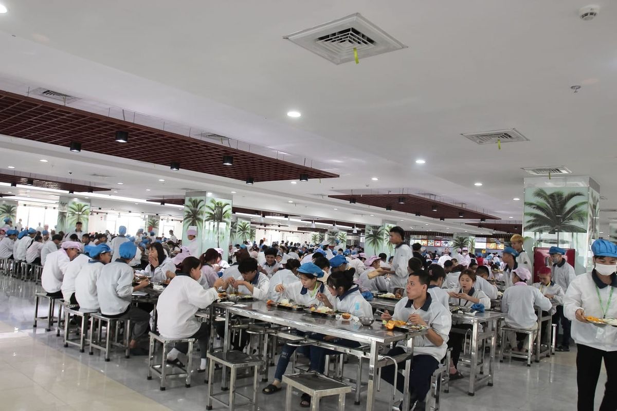 Hợp tác phát triển