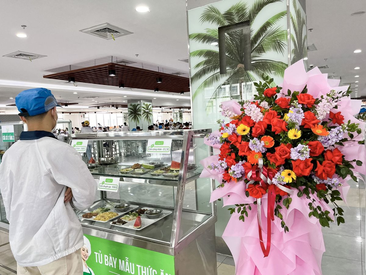 Tin tức 24h Haseca