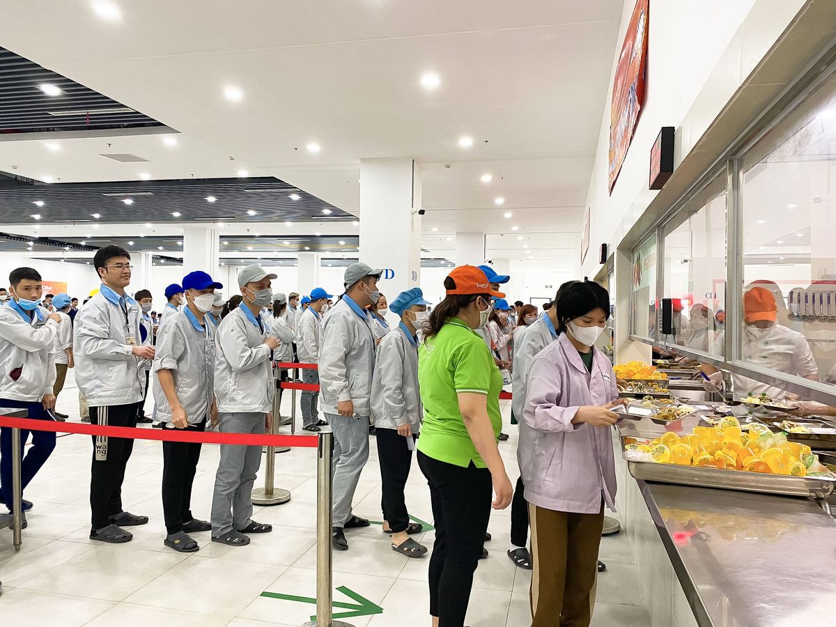 Tin tức 24h Haseca