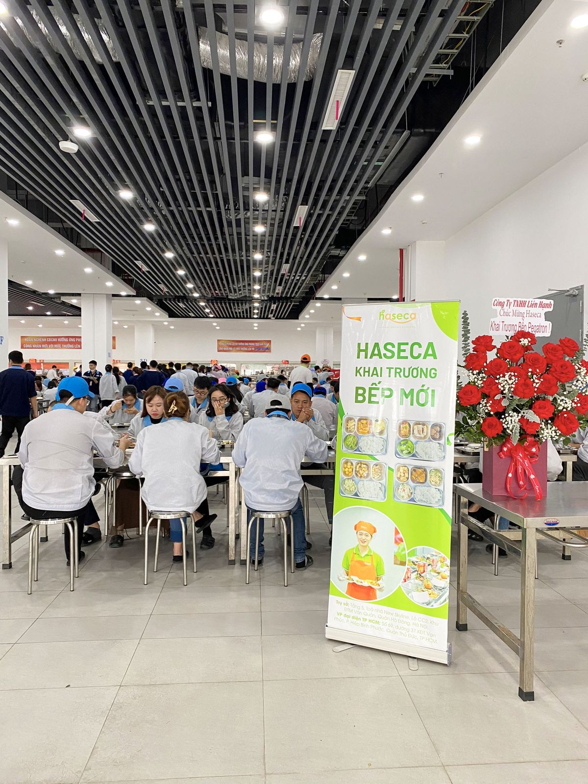 Tin tức 24h Haseca