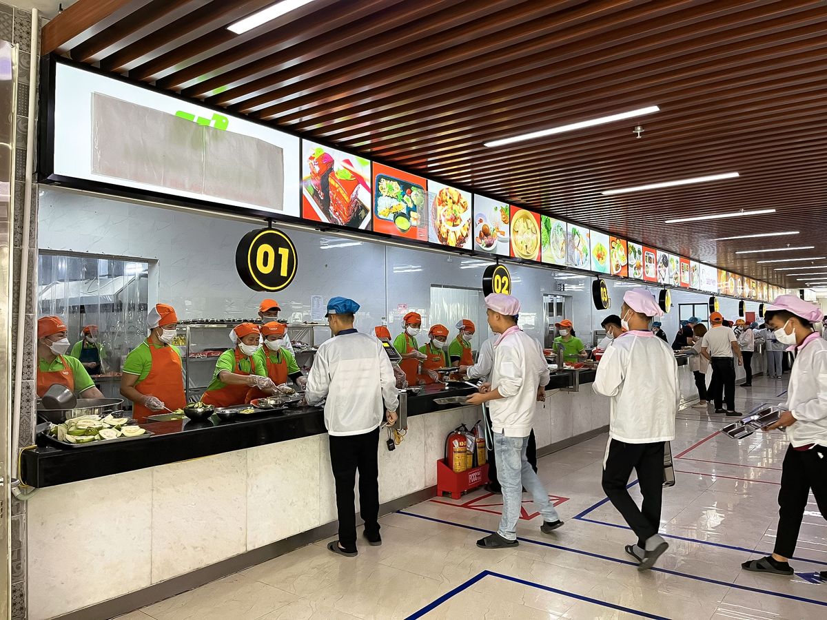 Tin tức 24h Haseca