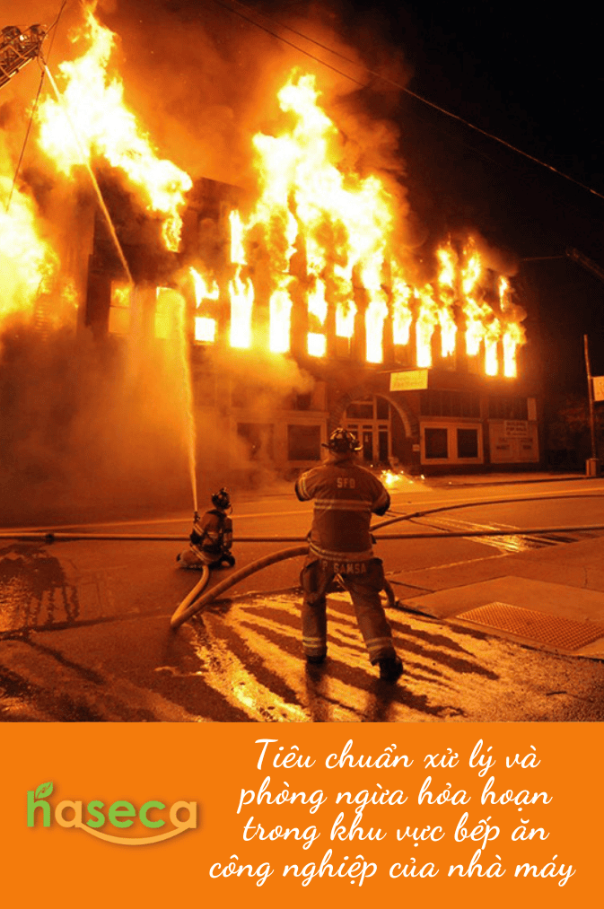 Hoạt động nội bộ