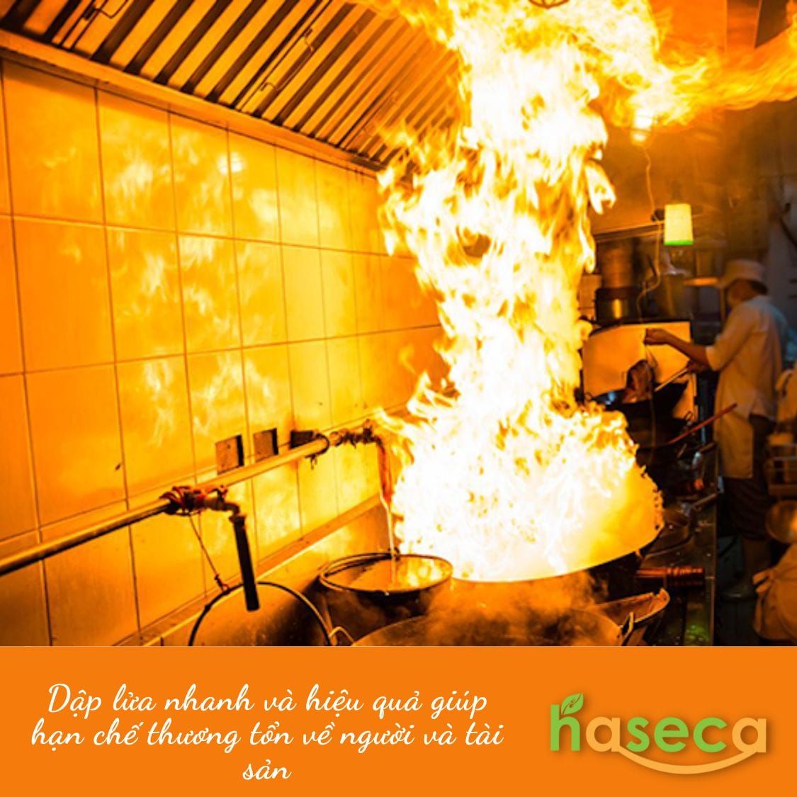 Tin tức 24h Haseca