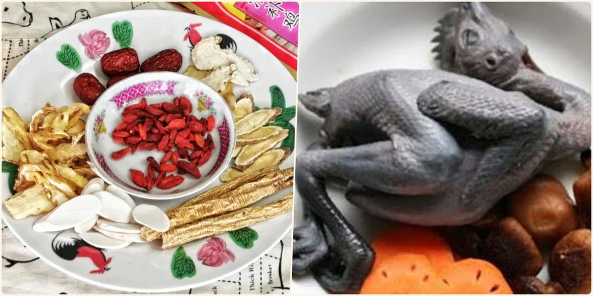 Hoạt động nội bộ