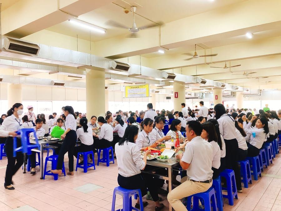 Tin tức 24h Haseca