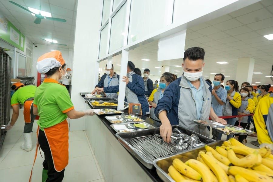 Tin tức 24h Haseca