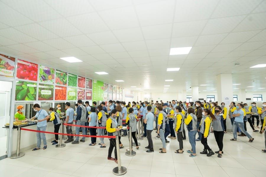 Tin tức 24h Haseca