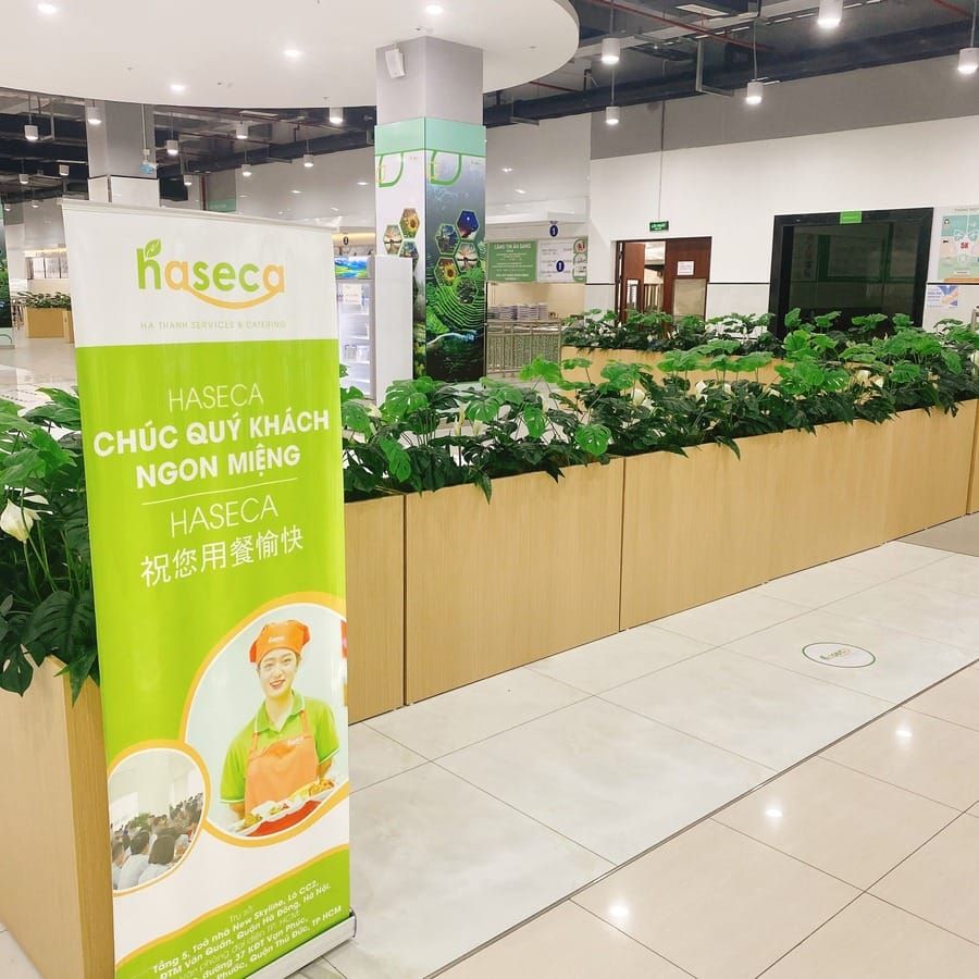 Tin tức 24h Haseca