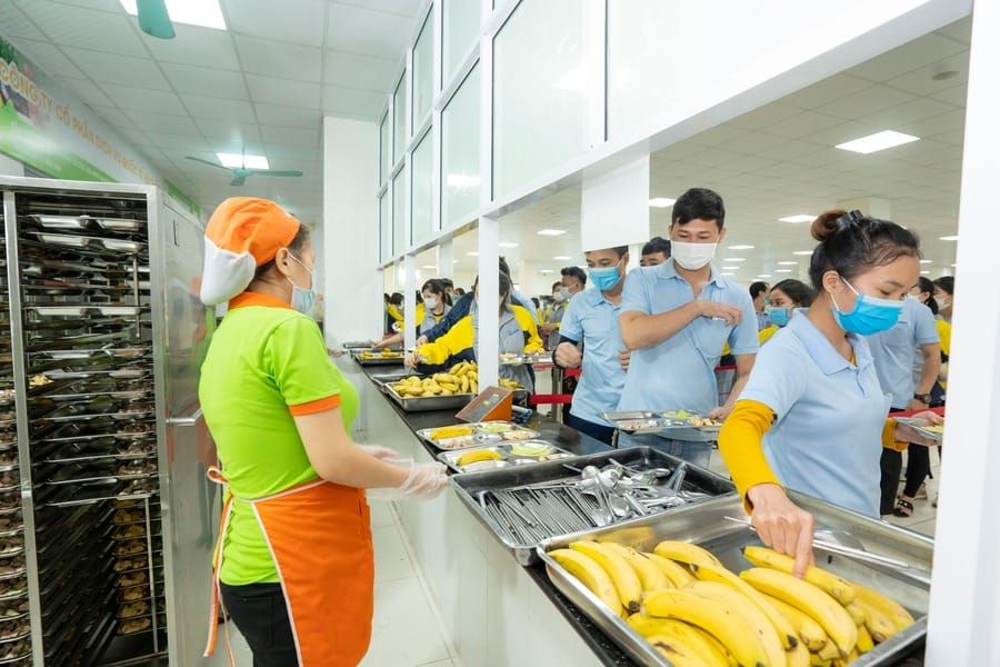 Tin tức 24h Haseca