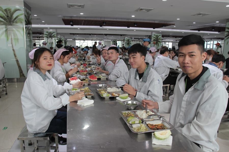 Tin tức 24h Haseca