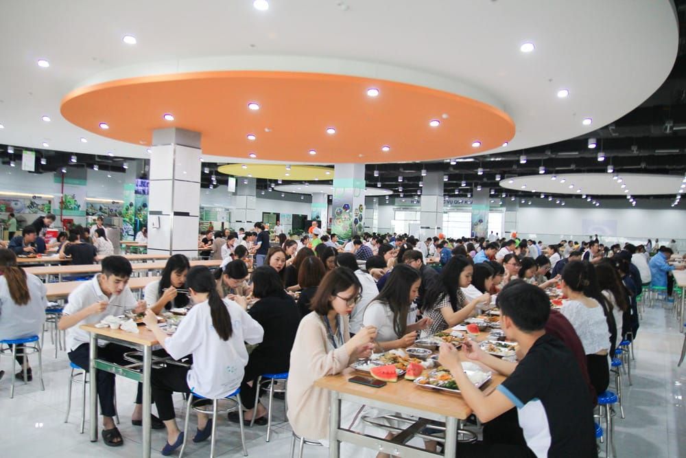 Tin tức 24h Haseca