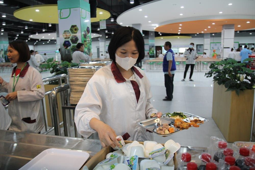 Tin tức 24h Haseca