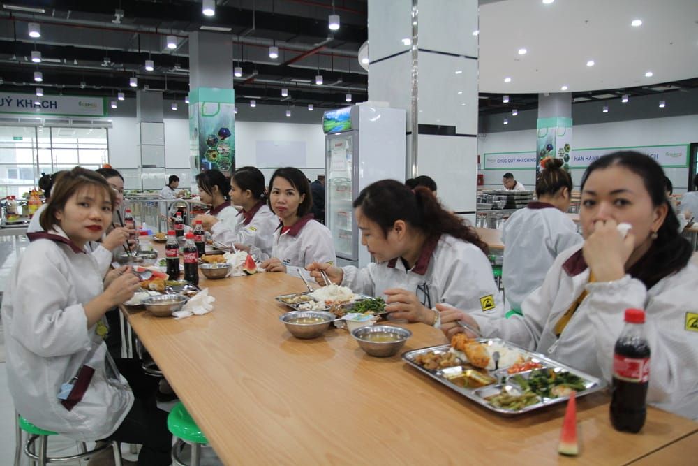 Tin tức 24h Haseca