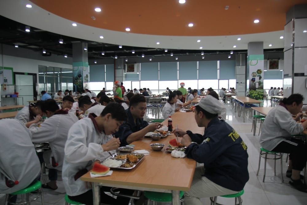 Tin tức 24h Haseca