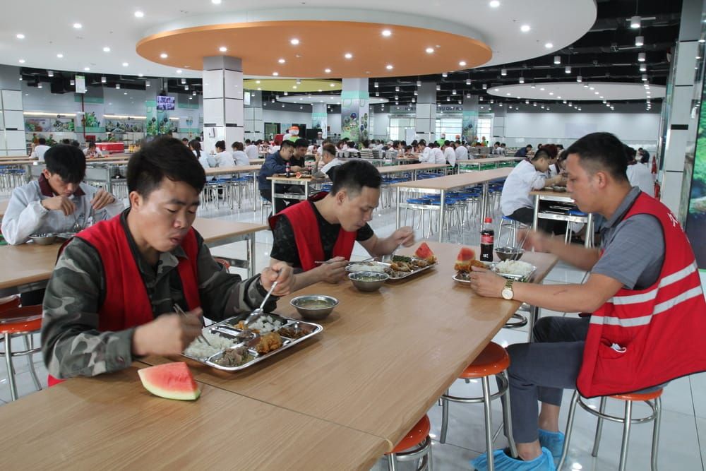 Tin tức 24h Haseca