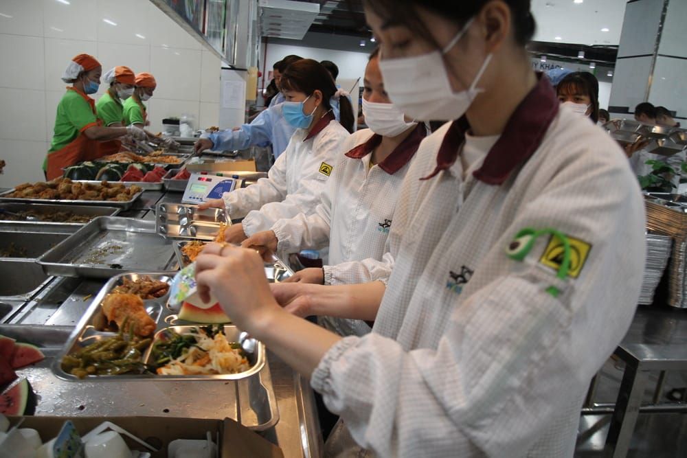 Hợp tác phát triển