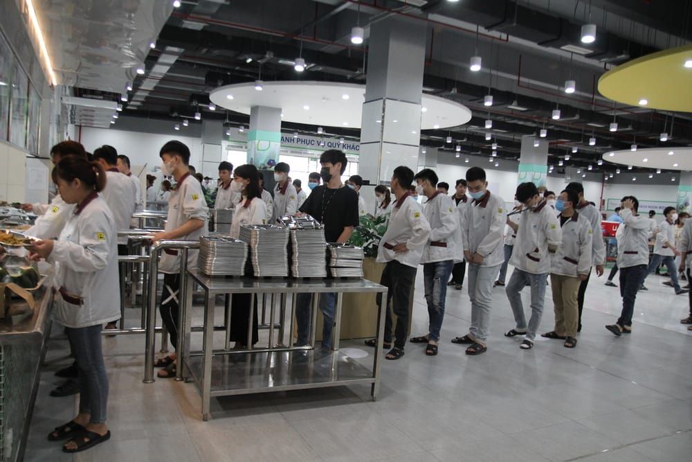 Tin tức 24h Haseca