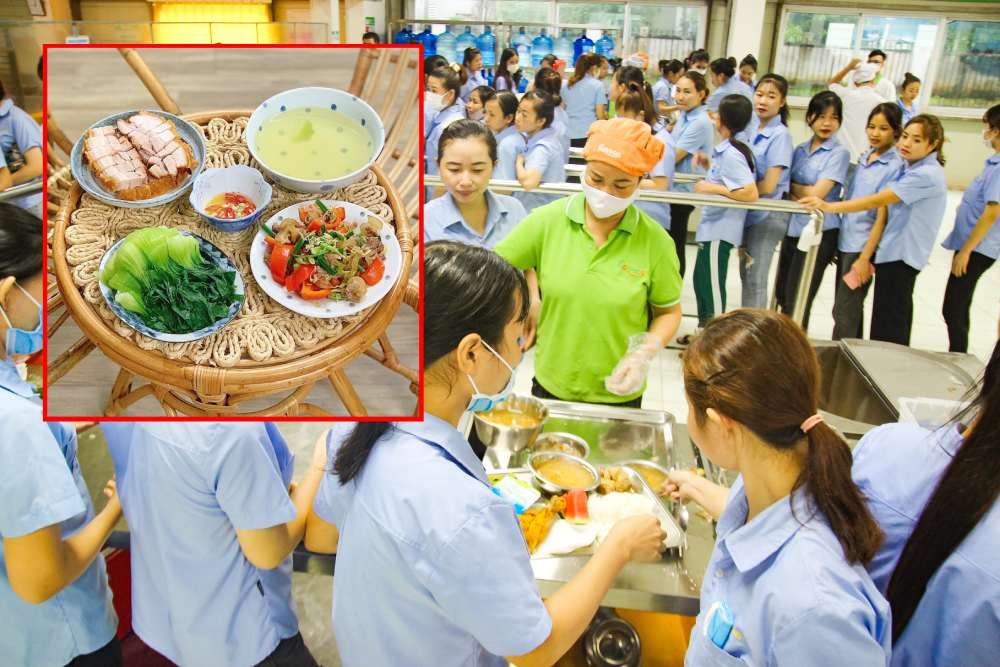 Tin tức 24h Haseca