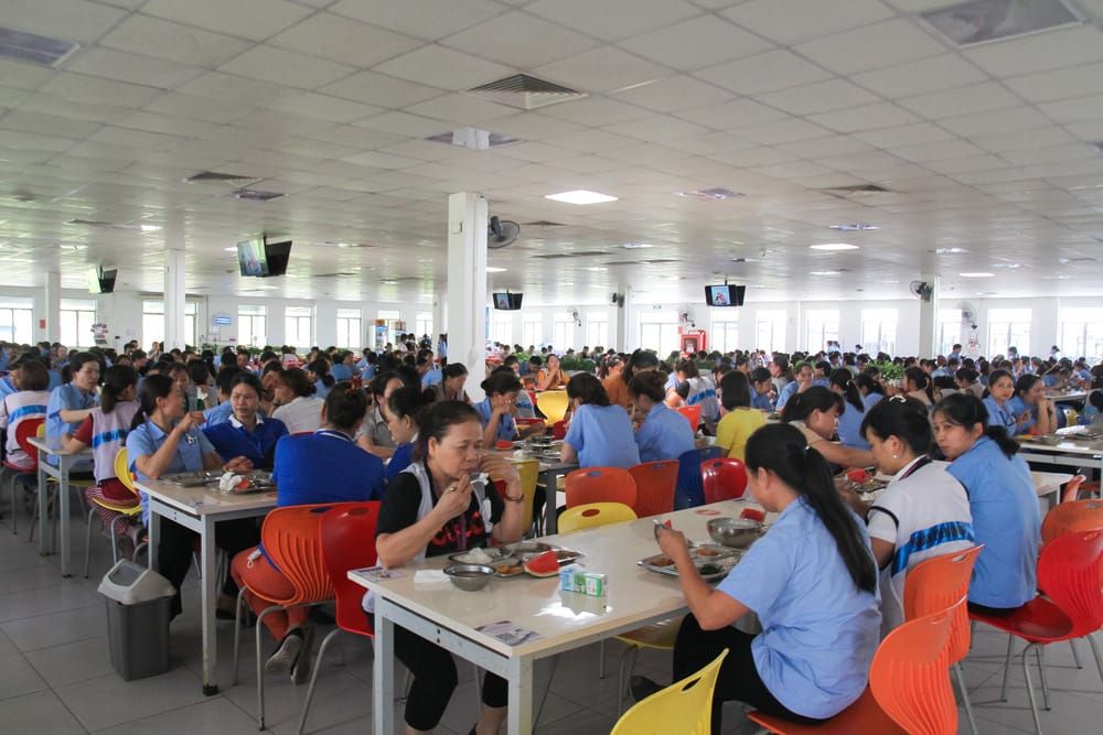 Tin tức 24h Haseca