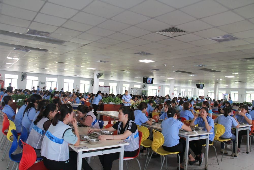 Tin tức 24h Haseca