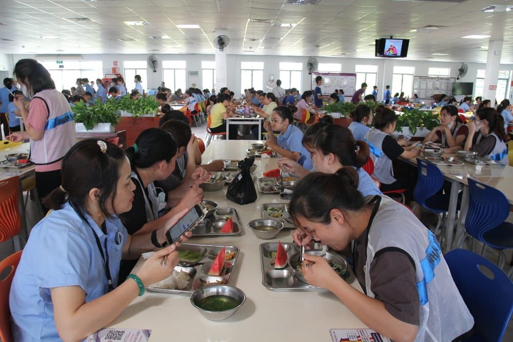 Tin tức 24h Haseca