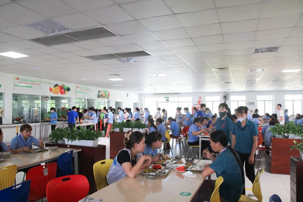 Tin tức 24h Haseca