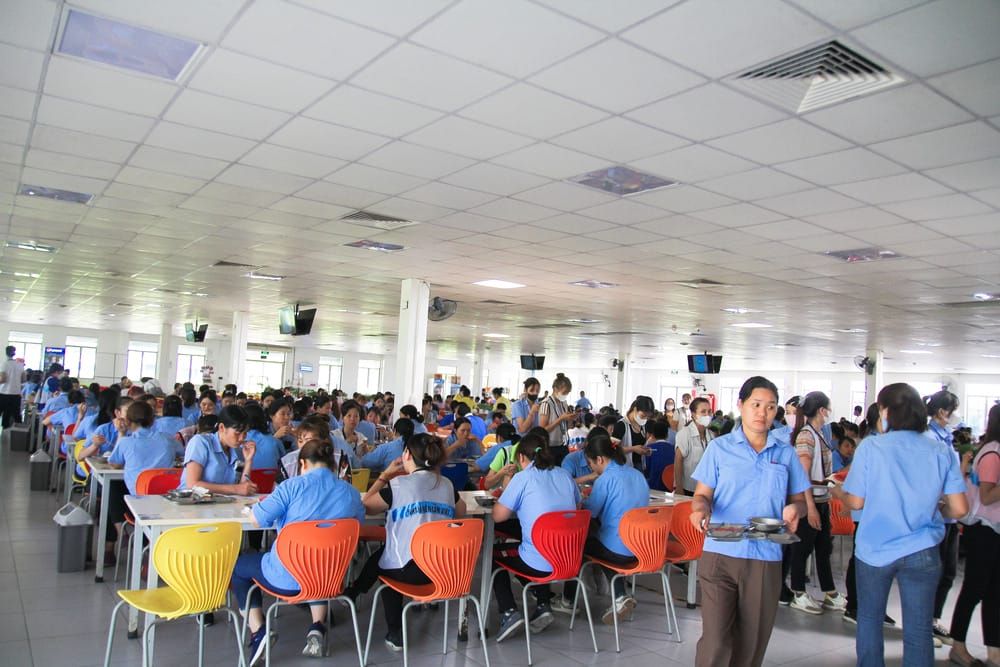 Tin tức 24h Haseca