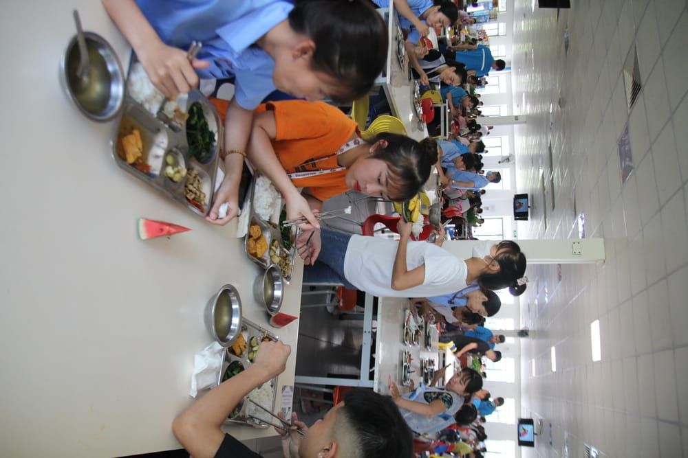 Tin tức 24h Haseca