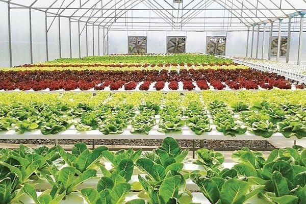 Tin tức 24h Haseca