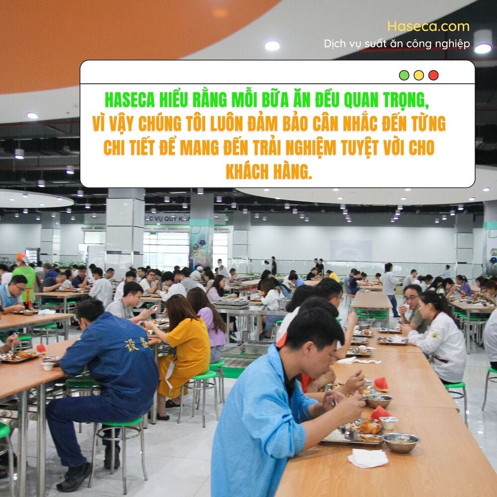 Tin tức 24h Haseca