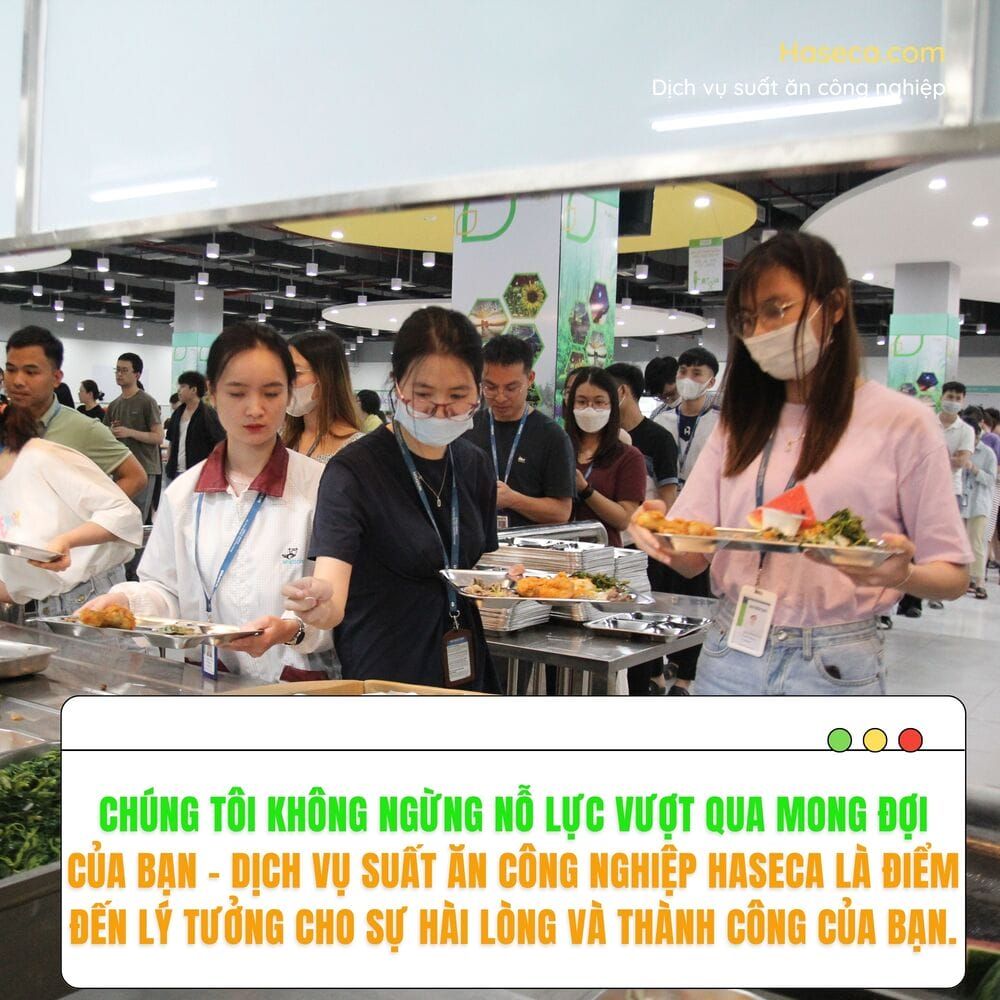 Tin tức 24h Haseca