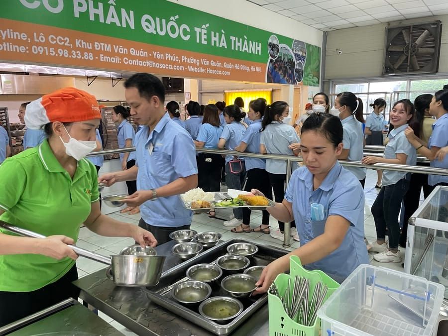 Tin tức 24h Haseca