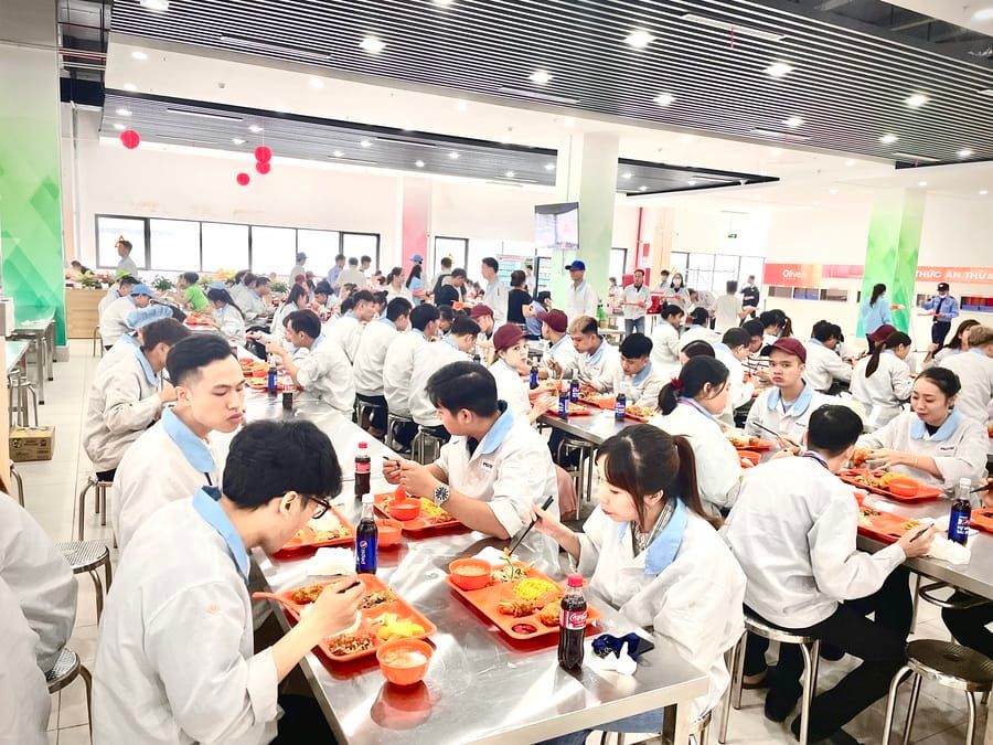 Tin tức 24h Haseca