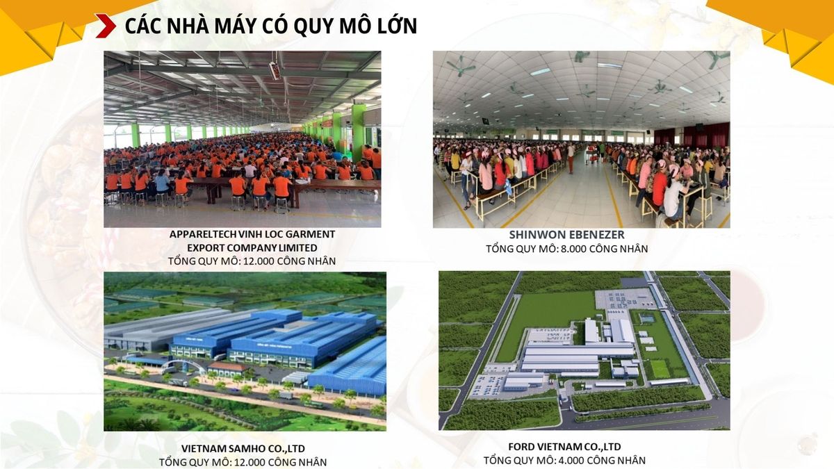 Tin tức 24h Haseca