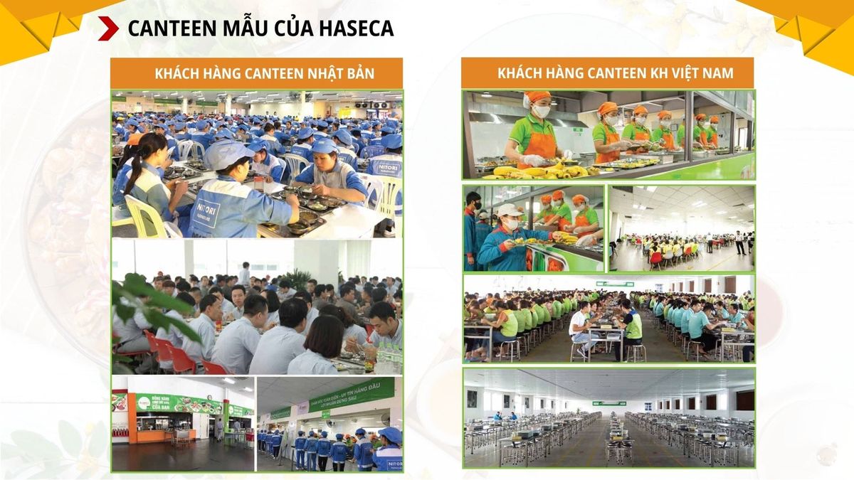 Tin tức 24h Haseca