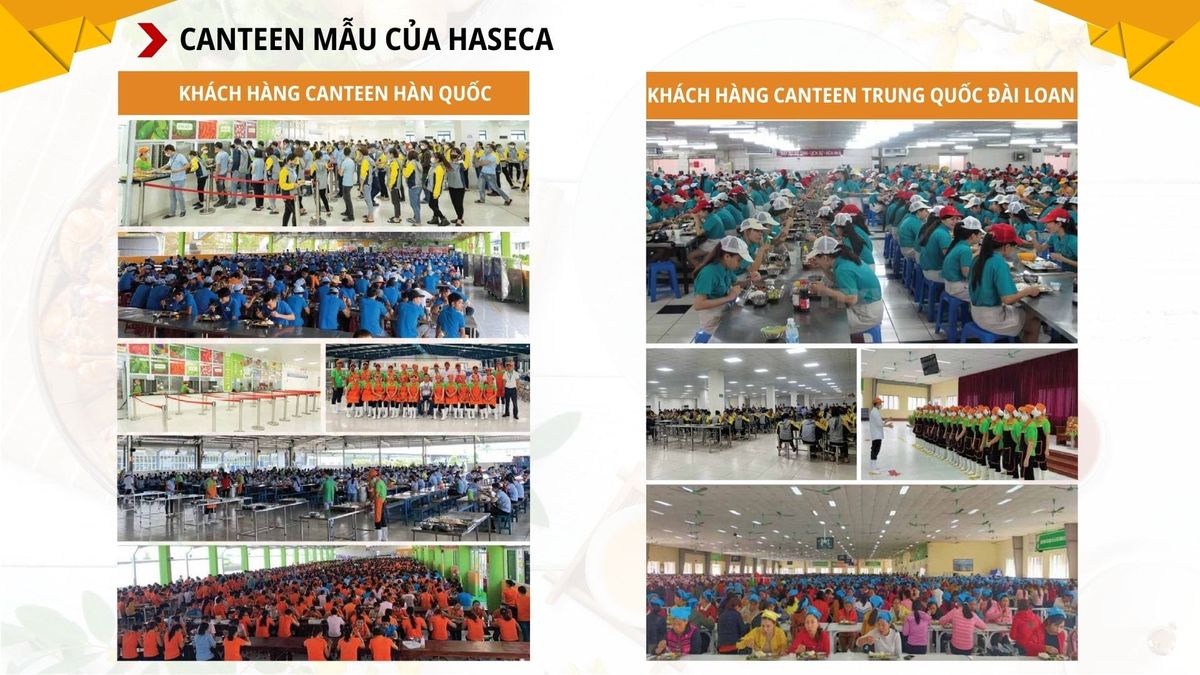 Tin tức 24h Haseca